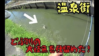 【怪魚】温泉の影響で異常繁殖した人食い怪魚を釣り上げろ!!