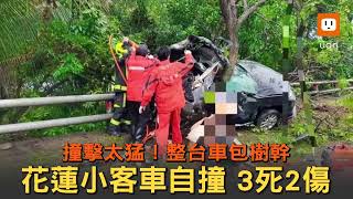 花蓮台9線車禍3死影像曝光 轎車打滑直撞路樹