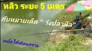 ตกปลา\u0026ตกชิงหลิว EP.52 หลิว 5 เมตร กับหมายเด็ด\