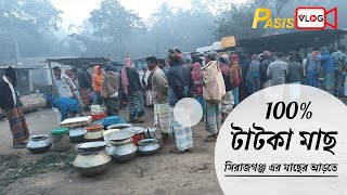 100% টাটকা মাছ সিরাজগঞ্জ এর মাছের আড়তে।@pasisvlog