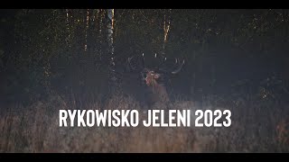 RYKOWISKO JELENI 2023 (4K) DEER RUT