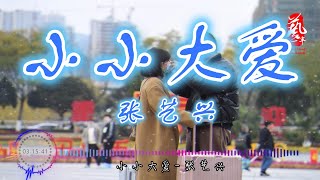 小小大爱 - 张艺兴【无损音质】【动态歌词】