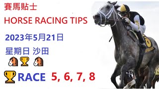 🏆「賽馬貼士」🐴2023年 5 月 21 日💰 星期日  😁 沙田 香港賽馬貼士💪 HONG KONG HORSE RACING TIPS🏆 RACE  5  6  7  8     😁
