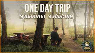 one day trip ผามออีแดง อุทยานแห่งชาติเขาพระวิหาร จ.ศรีสะเกษ