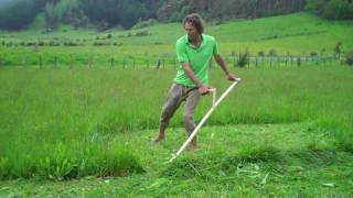 Christoff Schneider permaculture-school.com scythe mowing with the NEW TAI CHI STILE