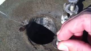 Removing the pool ladder -- The Wedge