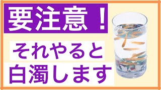 【ある日突然・・・】メダカの屋外飼育で水が白く濁るたった1つの理由