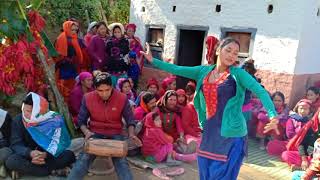 Nepali local Dance(आयो रोल्पाली नाच सत्यनारायण पुजाको)