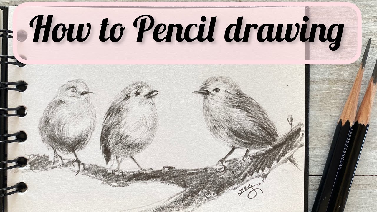 Pencil Drawing- Birds -Use HB And 4B- Tutorial Step By Step- Coloring ...