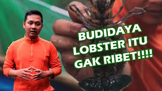 INI HAL YANG HARUS KAMU PERHATIKAN DALAM MEMULAI BUDIDAYA LOBSTER AIR TAWAR | JURNAL INAGRI #28