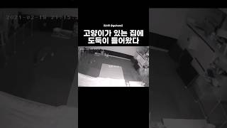 (실화)공포주의 남냥특집