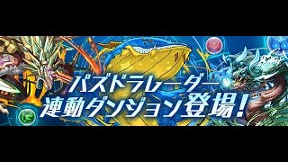 【パズドラ】ラグウェル降臨　高速周回編成　編成難易度低【劉備PT】