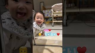 【生後10ヶ月】かくれんぼ3連発👶#youtube #youtubeshorts #ytshorts #short #shorts #shortvideo #shortsvideo #baby