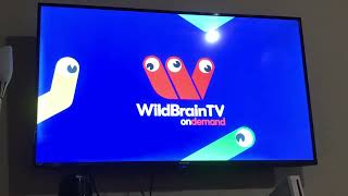 WildBrainTV OD Ident (2023)