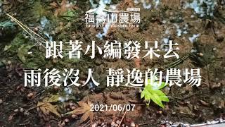 跟著小編散步去。雨後沒遊客 靜逸的農場。防疫休園延長到110/06/28