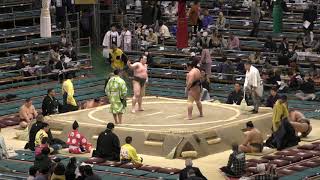 津志田-鳩岡/大相撲2019大阪場所 4日目