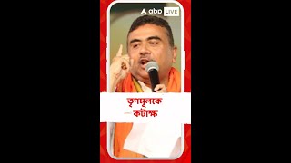 আমাকে জেলে ঢোকানোর জন্য় উকিলকে প্রায় ৩০০ কোটি টাকা দিয়েছে তৃণমূল: শুভেন্দু অধিকারী