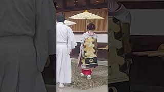 和傘で控室に向かう舞妓＆芸妓さん　 #京都　#舞妓