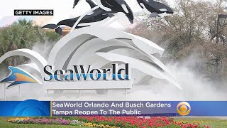 SeaWorld Orlando, Busch Gardens Tampa Reopen With Masks, Temperature Checks