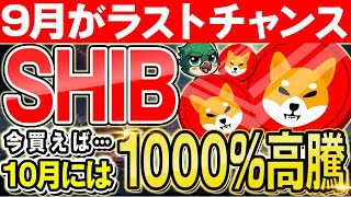 【SHIB（シバイヌコイン）】買うなら9月がラストチャンス!!最後の仮想通貨仕入れ時を逃すな!!【仮想通貨】【ミームコイン】