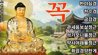 매일 1번 듣는 소원 실현 명상 🌟 건강, 부자, 성공, 행운을 부르는 비결 🙏 소원은 반드시 이루어진다!