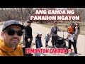 Thrill Walk in Louise Mckinney Riverfront Park Edmonton Canada 🇨🇦