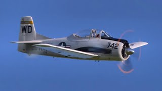 🔥 North American T-28 Trojan – Cockpit \u0026 External Views! Epic Airshow, Low Passes \u0026 Slow Pass! ✈️