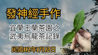 發神經手作之武夷烏龍茶Home made Wuyi Oolong tea