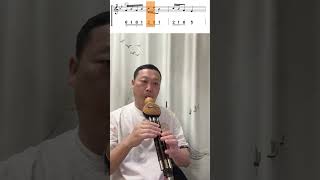 《夫妻双双把家还 Fairy Couple 》B flate Key Hulusi Cover (Record with phone) #diziflute #hulusi