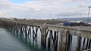 Homer Alaska