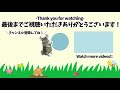 【チンチラ】新しい家族？【chinchilla】【柴犬】