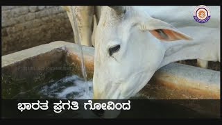 Gou Gayan - ಭರತ ಸಂಸ್ಕೃತಿ ಗೋವಿಂದ | ಭಾರತ ಪ್ರಗತಿ ಗೋವಿಂದ | ಜನತೆಗೆ ನೆಮ್ಮದಿ ಗೋವಿಂದ | ಬದುಕಿಗೆ ಸದ್ಗತಿ ಗೋವಿಂದ