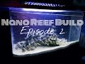 Nano Reef Build: Fishless Cycling