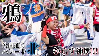 【鴉No.09】からす神輿‼︎_第36回彩夏祭_公園通り北パレード1回目【2019年】NX3