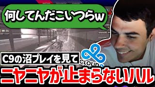 C9の間でMazermoment感染中!! スクリムでの珍プレイを見てご満悦なハル!!【クリップ集】【日本語字幕】【Apex】