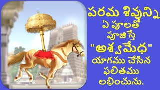 #Shiva Parama shivunni a poolatho poojinchali/pushpalato shiva pooja/పరమ శివున్ని  ఏ పూలతో పూజించాలి