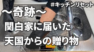 【奇跡】関白家に届いた天国からの贈り物