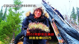 荒野独居第九季选手打野能力出众，运气也是好的爆棚，海狸大佬意外退赛，冠军得主变得扑朔迷离，Alone.S09