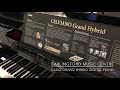 Carlingford Music Presents Casio Digital Hybrid Grand #piano