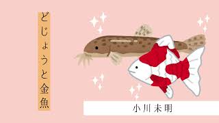 朗読/読み聞かせ『どじょうと金魚』小川未明