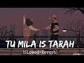 tu mila jis tarah saba mile slowed reverb shafaqat ali raaz 3 lofi vibes indian lofi