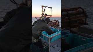 Lobster fishing Miscou Island (last day)