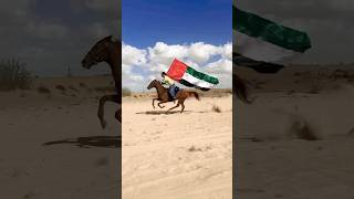 UAE national day celebrations #horseride #love #arabichorse #horse #horseridding