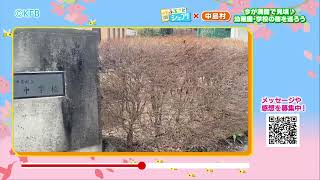 【ふるさとシェア】中島村　見どころ一杯！子どもたちと桜を巡ろう♪（2023/4/7）