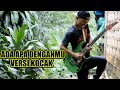 ADA APA DENGANMU VERSI INDIA, DANGDUT, METAL LUCU ABIS.....