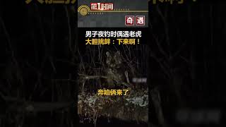 吉林延邊一男子夜釣時偶遇老虎，大膽喊話,「你下來啊」。#shorts