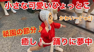 小さな可愛いひょっとこが祇園で踊りに夢中  外国人観光客も大歓喜❗️ Gion in Kyoto 【4K】2025年2月2日