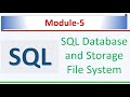 SQL Database and Storage File System | Microsoft SQL Server 2022 | SQL Module -5