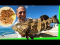 Shrimp Catch and cook with a side of fishing - Solo small boat camping - EP.584