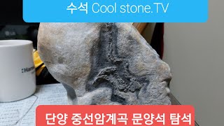 수석Cool stone.TV 단양 중선암 계곡 탐석